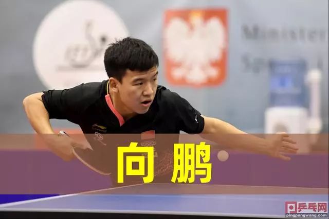 提升的象征 提升的象征