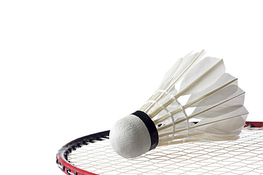 护他的健康 护他的健康